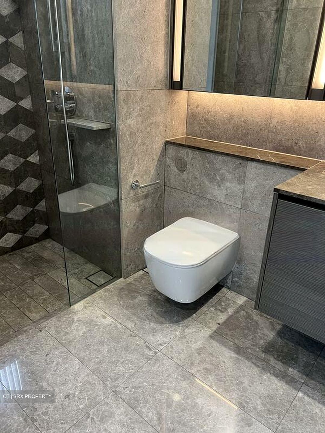 Leedon Green (D10), Condominium #635048701